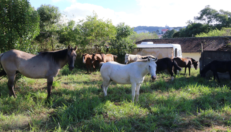 img_62CDCA38D7EDAA51A0EC76B59937F31C1B7F599F_1080x1920