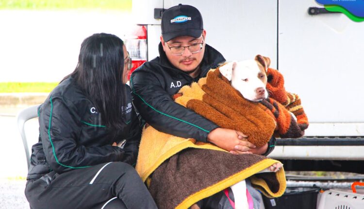 🐾 Castra+ Paraná 2 chega a Castro com atendimento gratuito para cães e gatosHoje, o Parque Lacu (1)