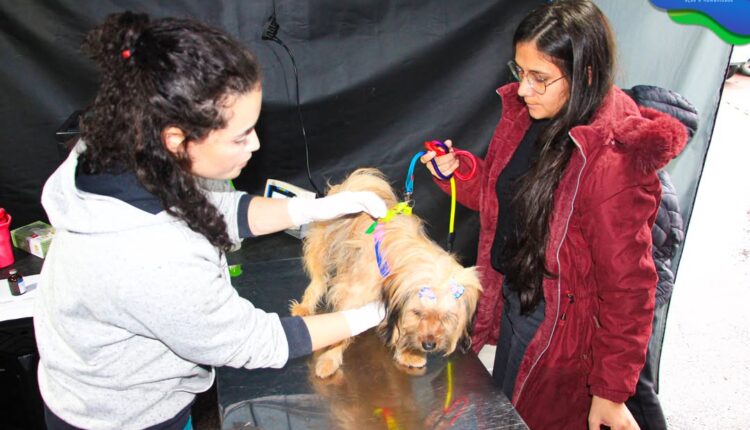🐾 Castra+ Paraná 2 chega a Castro com atendimento gratuito para cães e gatosHoje, o Parque Lacu (2)