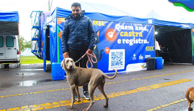 🐾 Castra+ Paraná 2 chega a Castro com atendimento gratuito para cães e gatosHoje, o Parque Lacu (3)