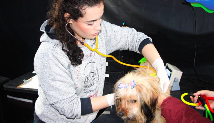 🐾 Castra+ Paraná 2 chega a Castro com atendimento gratuito para cães e gatosHoje, o Parque Lacu (4)